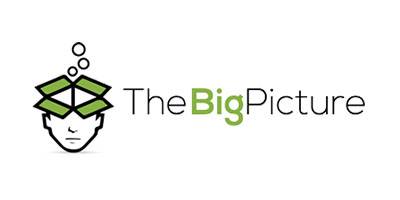 the big picture logo